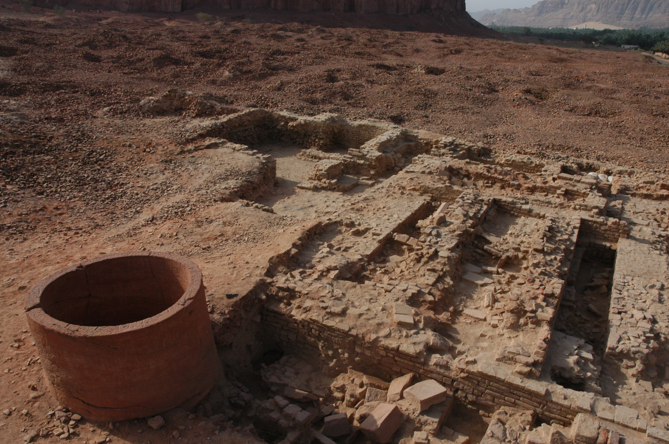 تنقيبات موقع ددن الأثري